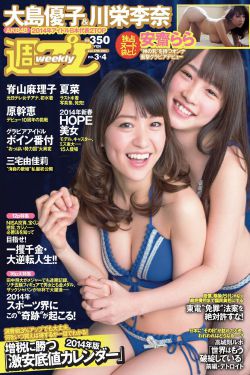 名侦探柯南剧场版19业火的向日葵